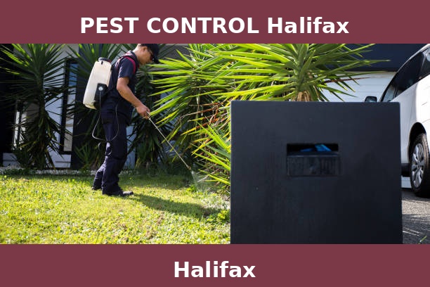 PEST CONTROL Halifax